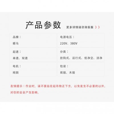 厂家正品链条款环链电动葫芦 220V380V 可升级防爆行吊起重提升机  1台图2